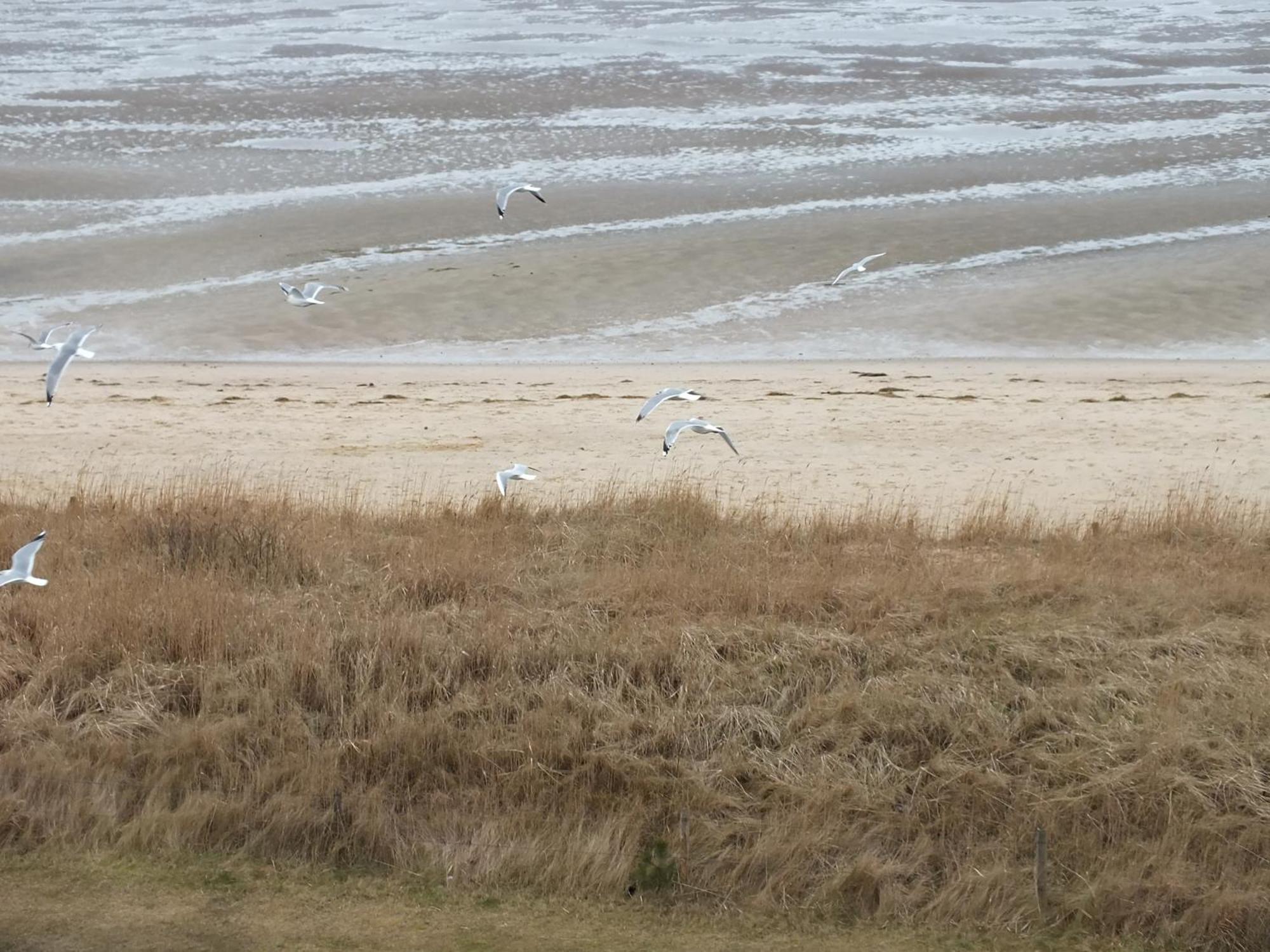 Watten-Blick 1 Cuxhaven Kültér fotó
